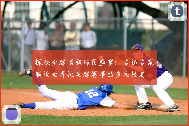 探秘全球顶级绿茵盛宴：专访专家解读世界性足球赛事的多元格局