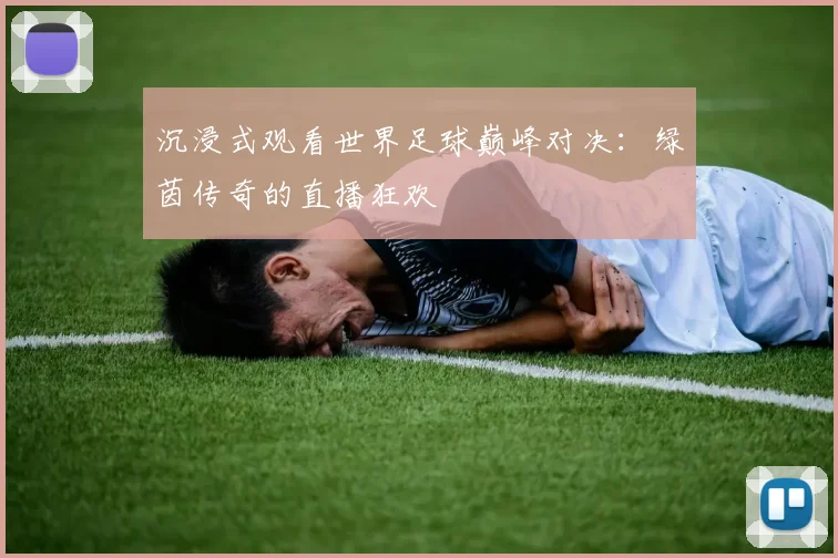 沉浸式观看世界足球巅峰对决:绿茵传奇的直播狂欢